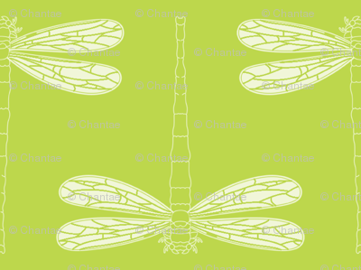 dragonfly in tender shoots