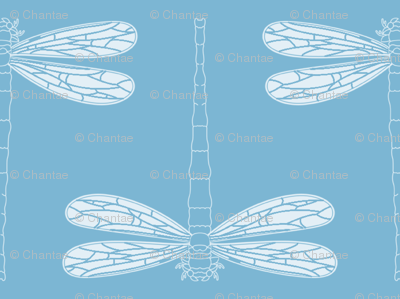 dragonfly in dusk blue