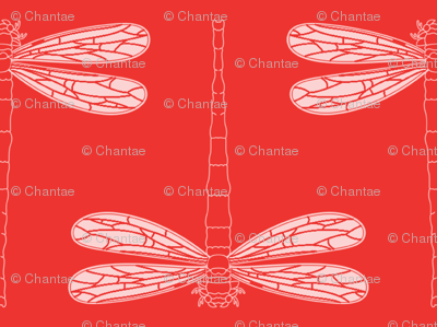 dragonfly in poppy red