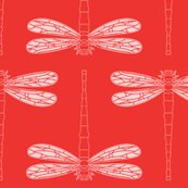Rdragonfly_in_poppy_red_shop_thumb