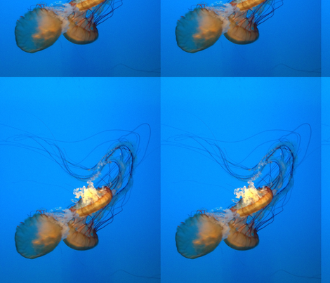 Jellyfish fabric by mcurry3 on Spoonflower - custom fabric