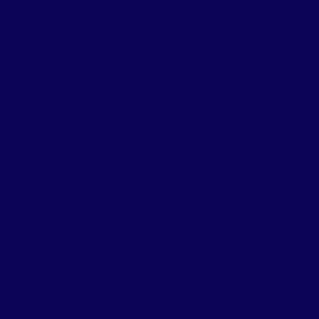 Bombay Tile ~ Blue Coordinating Solid