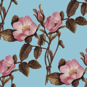 Charlotte Bronte's Wild Roses on Blue