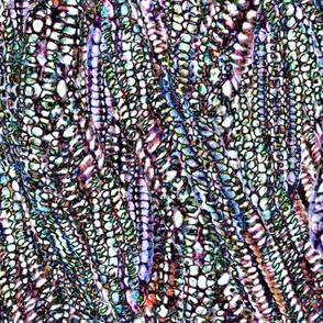 Irridescence 
