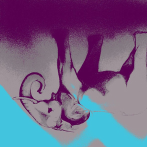 elephant-ch