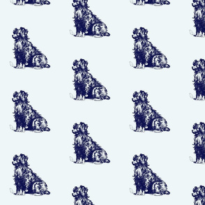 Delft Mutt