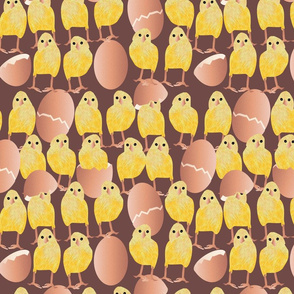 fluffy chickens