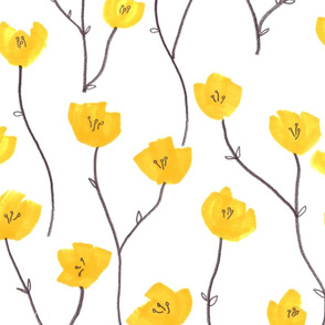 Buttercup field