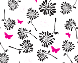Black_and_white_gerbera_w