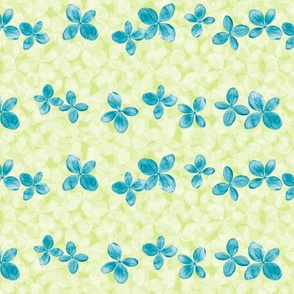 Hydrangea...