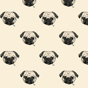 Smoking Pug