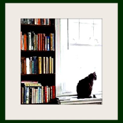 Ranger's Window