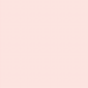 funny_bunny_gingham_pink