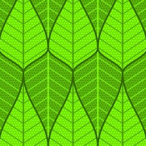 asymmetric sine leaf pair
