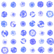 daisy polkadots in chicory blue
