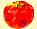Rbigredgrav_ed_ed_thumb