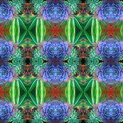 Succulents II