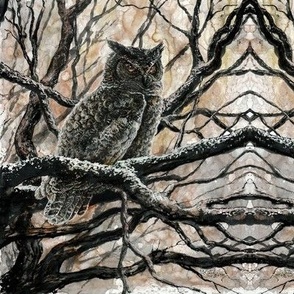 Winter Owl