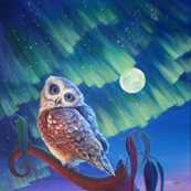Aurora Owl
