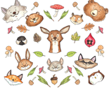 Rrwoodland_more_thumb