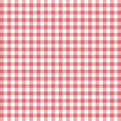 peach-pink gingham
