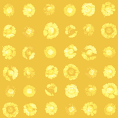 daisy polkadots in white on sunshine