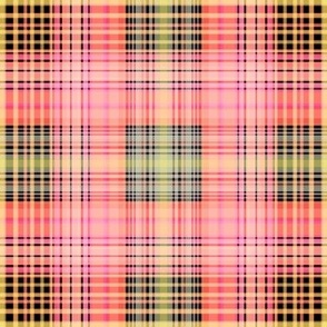 Fall 2013 PLAID