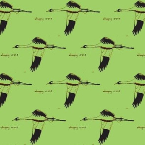 Whooping Crane  (Grass)