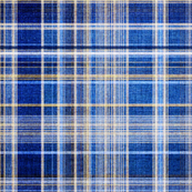 Plaid in blue