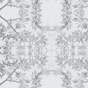japanese maple leaves in silver