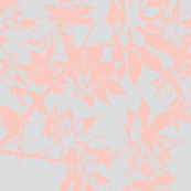 japanese maple leaves in pink