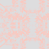 japanese maple leaves in pink