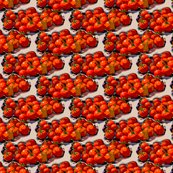 Rtomatoes_1941_shop_thumb