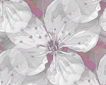 Blossom in Pink