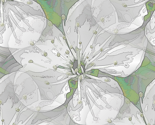 Blossom in Green