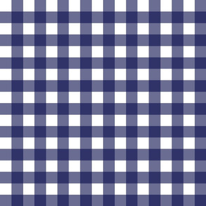 Delft Check