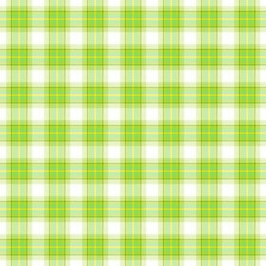 Plaid! - Luck Be With You - © PinkSodaPop 4ComputerHeaven.com