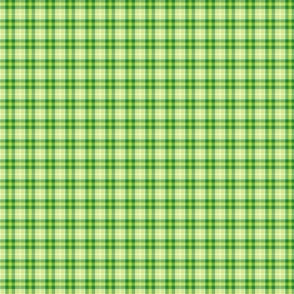 Plaid! - Luck Be With You - © PinkSodaPop 4ComputerHeaven.com