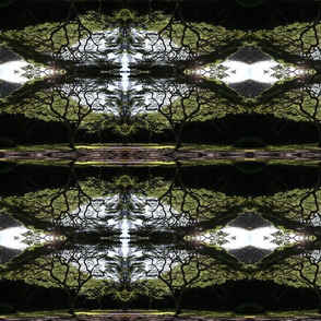 Lone tree in Hawaii abstract pattern