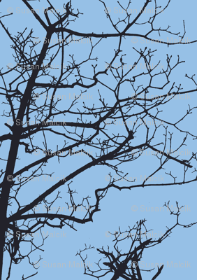 Tree Buds Against Blue Sky