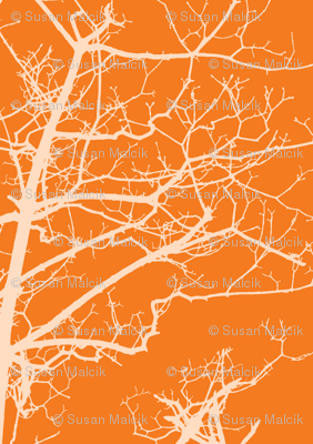 Tree Buds Against Clementine-colored Sky