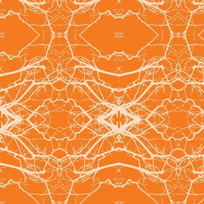 Laced Clementine