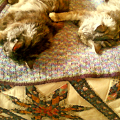 Of Cats and Quilts:Sisters