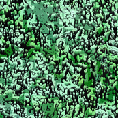 Digital Slime