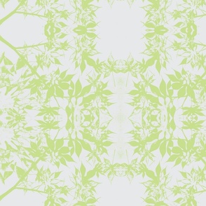 japanese maple leaves in green
