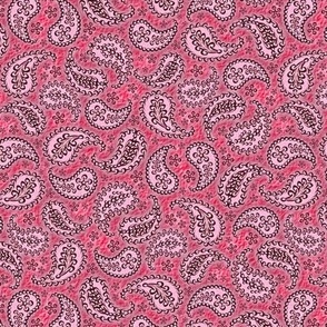 Paisley in Poppy Pink