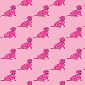 Hot Pink Spotted Wiener Dog Fabric