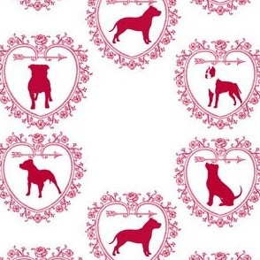 Pitbull love!