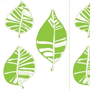 Olive Green Leafy Garden