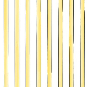 Julie's Colored Lines  Y